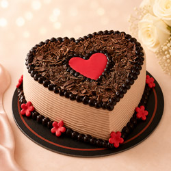 Chocolate Cakes
