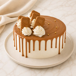 Lotus Biscoff
