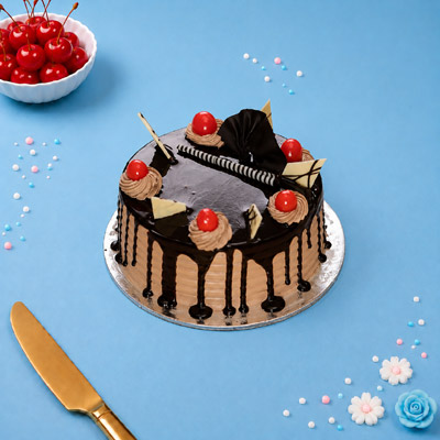 Choco Mocha Cake