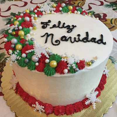 Christmas Special  Cake