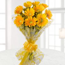 Gerbera Bouquet